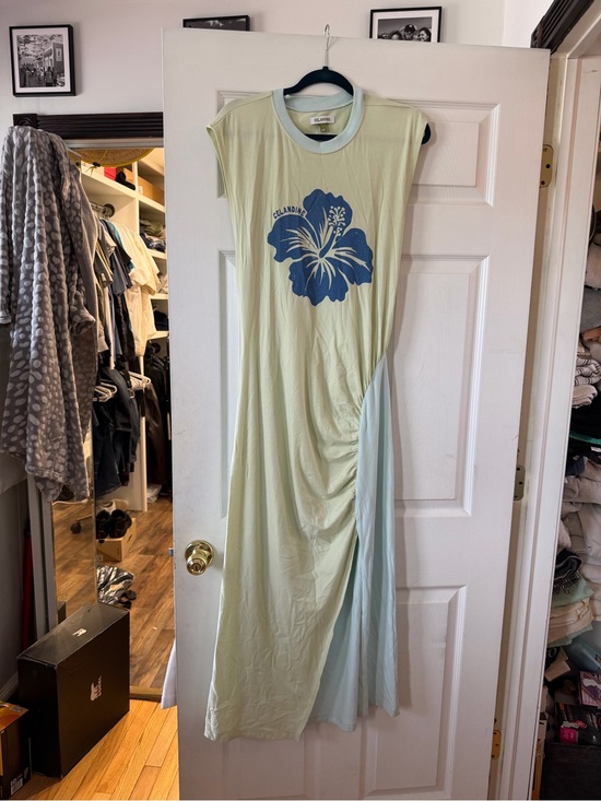 Celandine Dresses & Skirts - Sleeveless Light Green Maxi Dress with Blue Floral Print by AllSaints